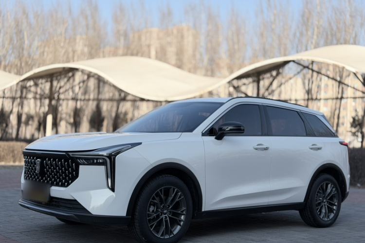 Used Bestune T55 2023 1.5T Automatic Leap Model