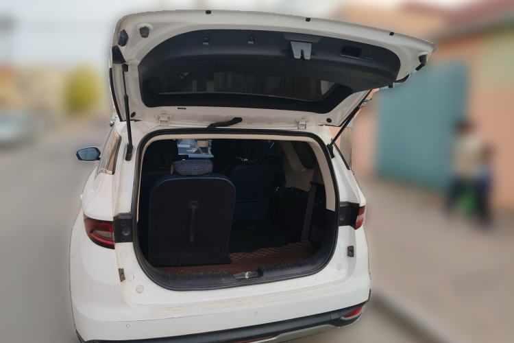 Used Livan Maple 80v PRO 2022 Comfort Model Long-Range Version