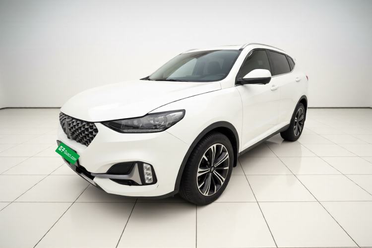 Used Wey VV6 2021 2.0T Two-Wheel Drive Smart Plus