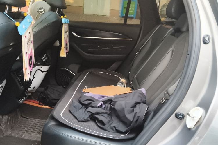 Used Geely Auto Monjaro L 2024 2.0TD High-Power Automatic Two-Wheel Drive Skyline Edition
