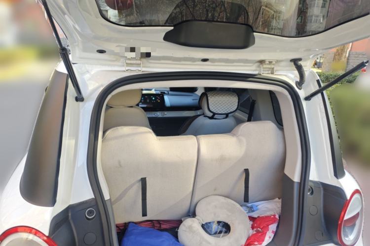 Used Qiyuan Lumin 2023 205km Xiangqin Version
