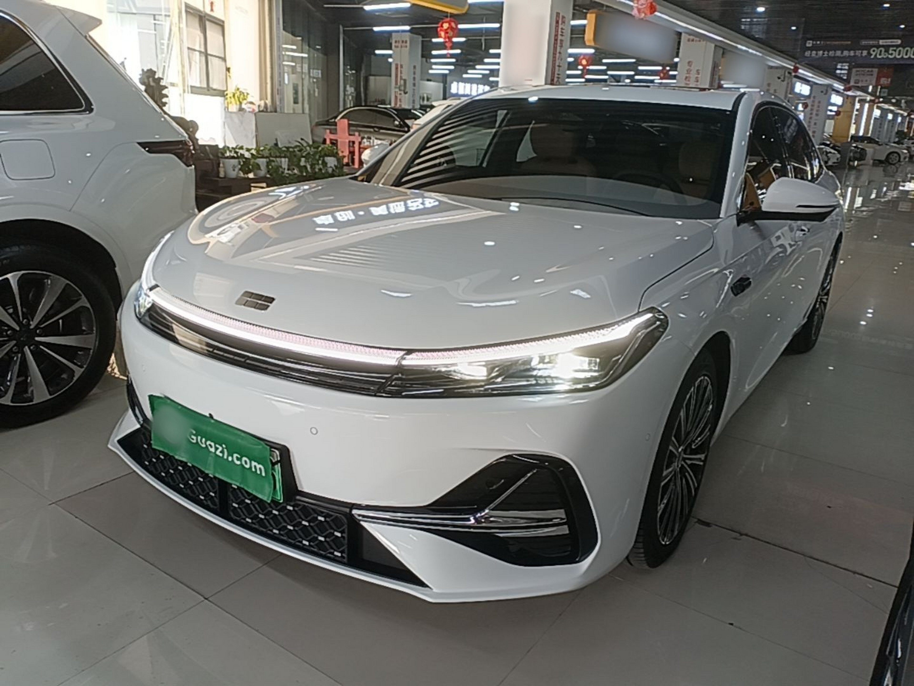 Under Front Bumper