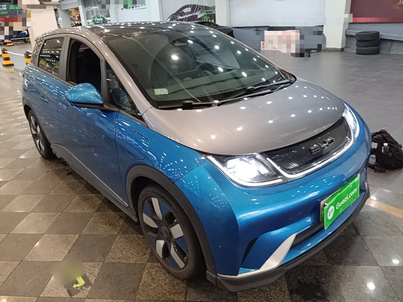 BYD Dolphin 2021 401km Knight Edition — снимка 3
