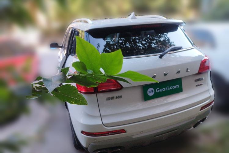 Used Haval H6 Coupe 2017 Blue Label 2.0T Automatic Two-Wheel Drive Urban Model Rear Left 45 Deg