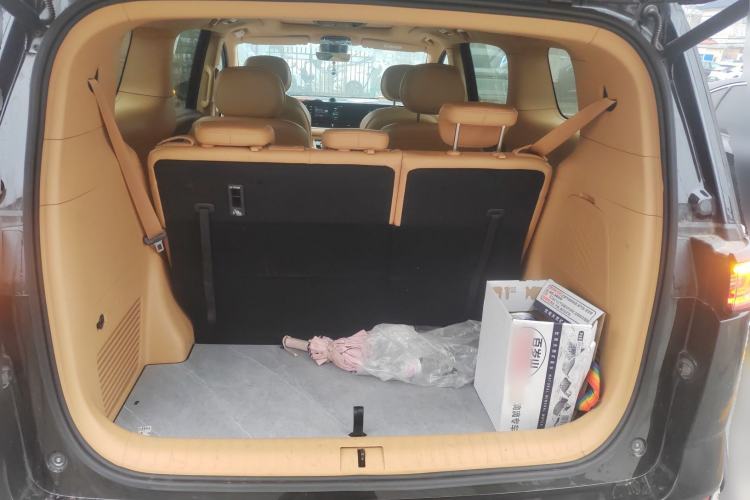 Used VOYAH Dream  Trunk