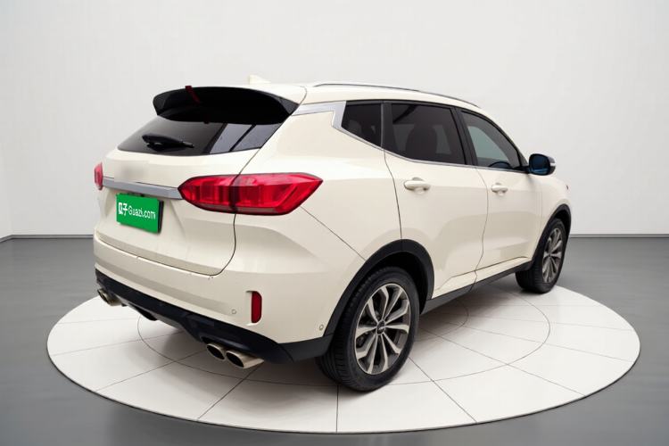 Used Wey VV6 2018 2.0T Two-Wheel-Drive Ultra-Luxury Version China V Standard Exterior 5