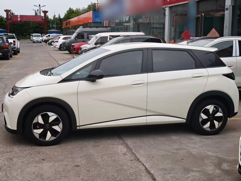 Used BYD Dolphin 2025 420km Free Edition — 8