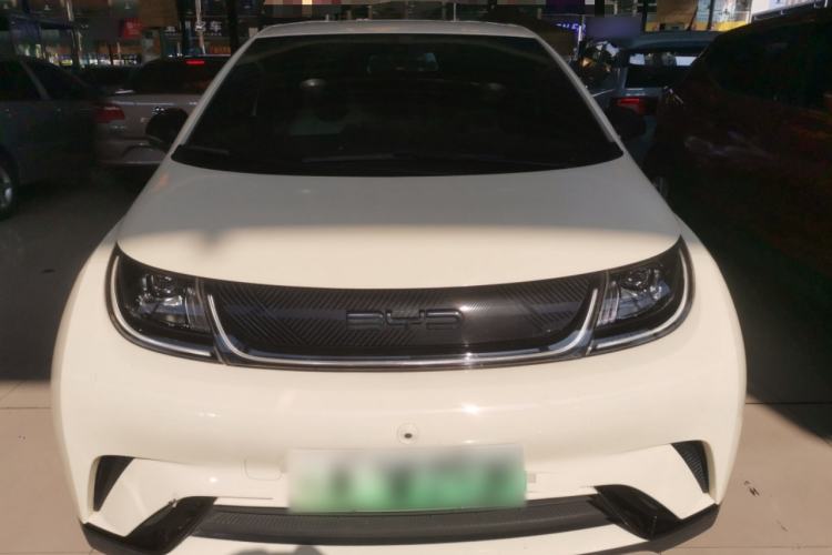 Used BYD Dolphin 2021 405 km Free Version