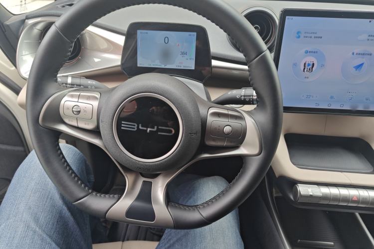 Used BYD Dolphin 2024 Honor Edition 420km Fashion Version Steering Wheel