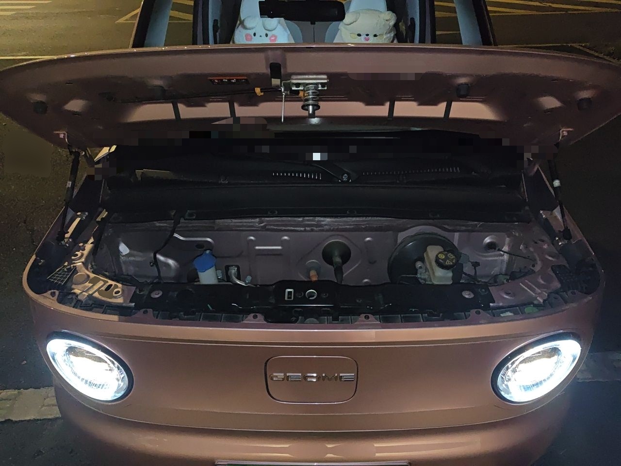 Geely Galaxy Panda 2023 Panda Mini 200km Endurance Bear — снимка 17