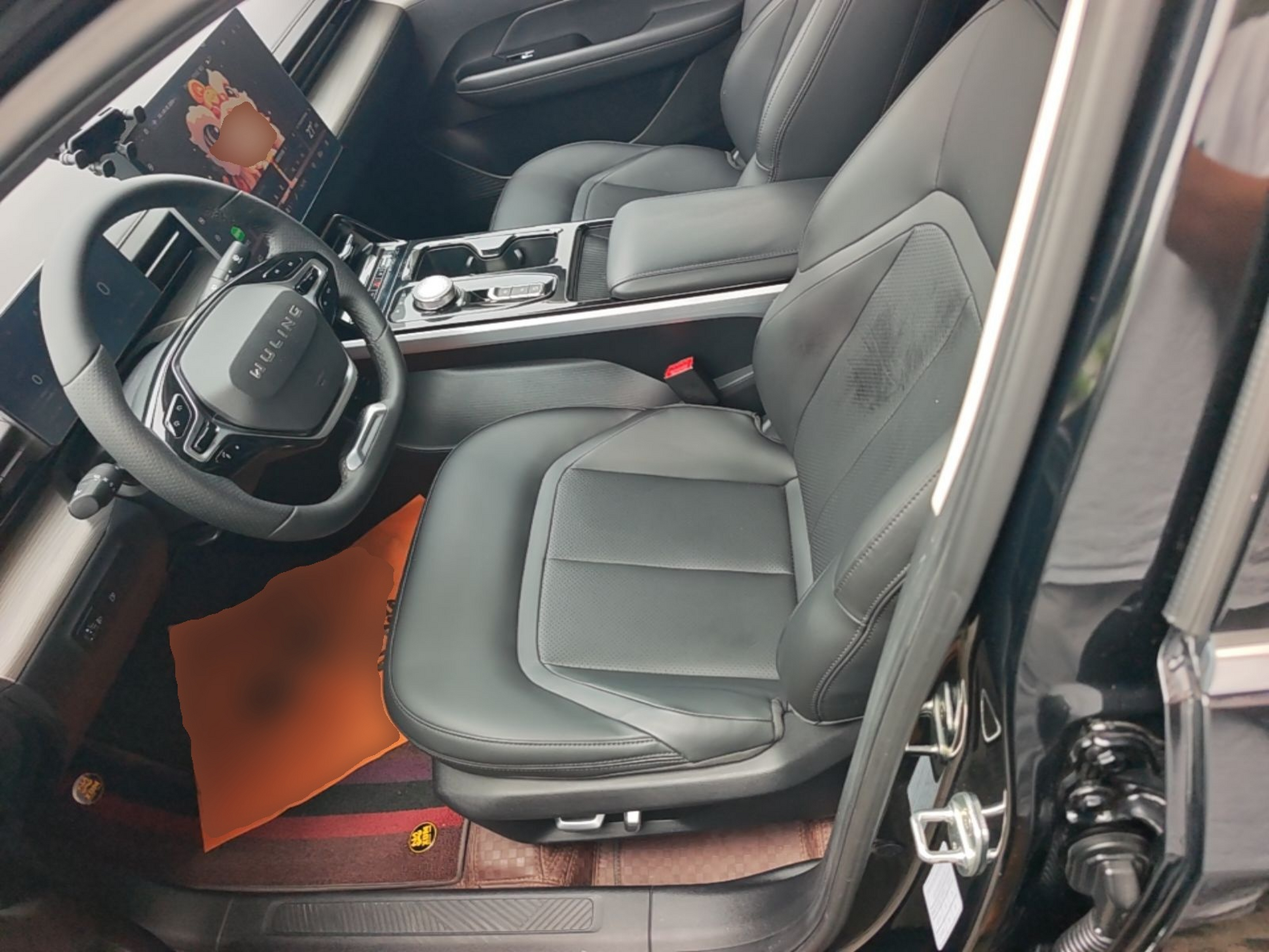 Interior delantero