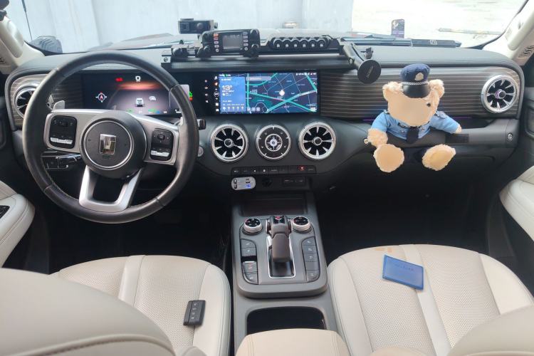 Used Tank 300 New Energy 2024 Hi4-T