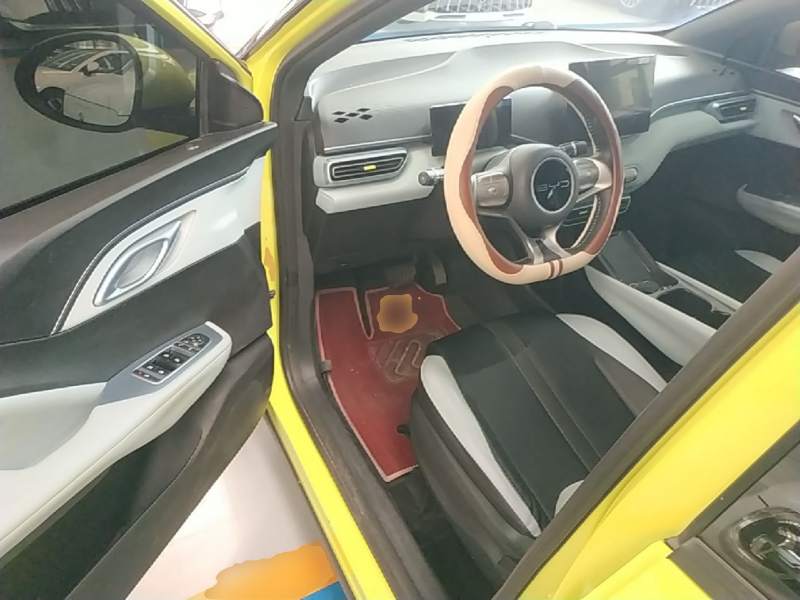 Used BYD Seagull 2023 Free Edition — 15