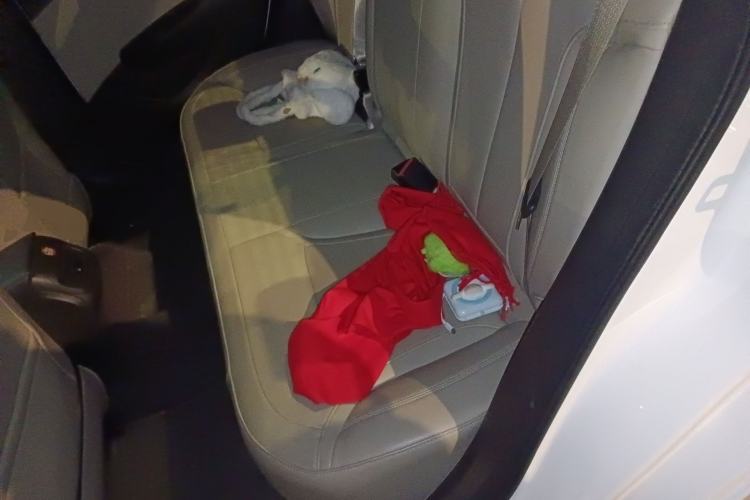 Used Buick GT 2018 15T Dual-Clutch Elite Model China V Standard Left Rear Seat