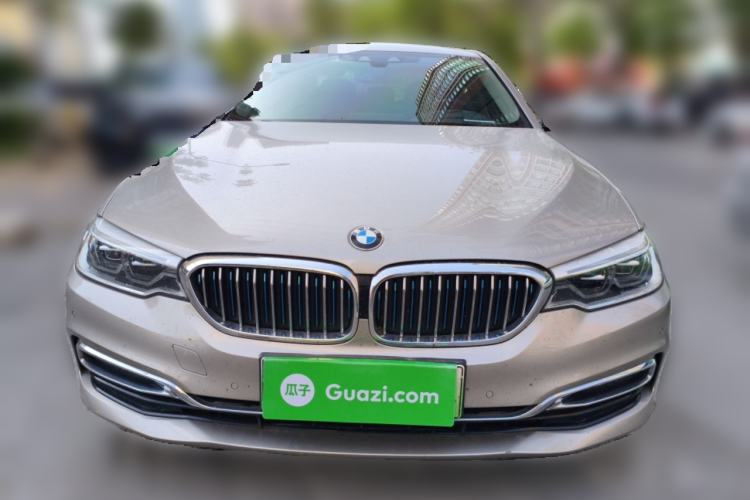 Used BMW 5 Series New Energy 2019 530Le Luxury Package
