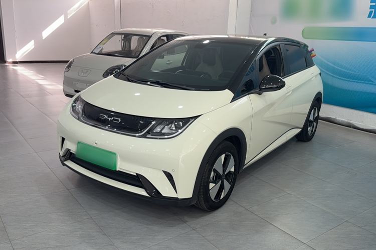Used BYD Dolphin 2023 420 km Fashion Edition