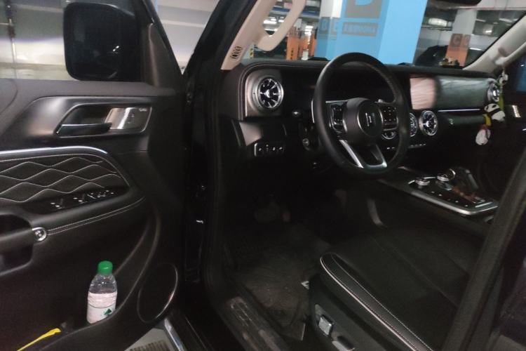 Used Tank 300 2024 2.0T Crosser
