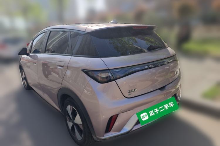 Used BYD Dolphin 2023 420 km Fashion Edition Rear Left 45 Deg