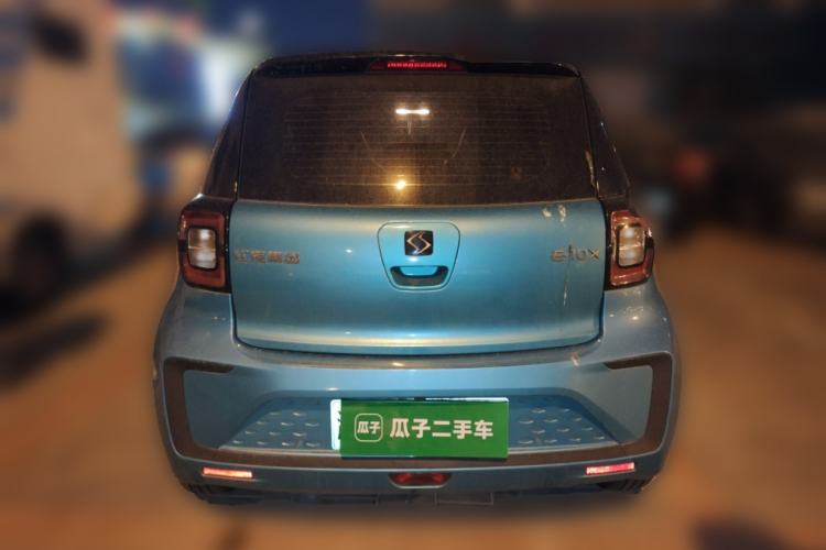 Used SOL E10X 2022 Flower Fairy Design Four-Leaf Clover Rear