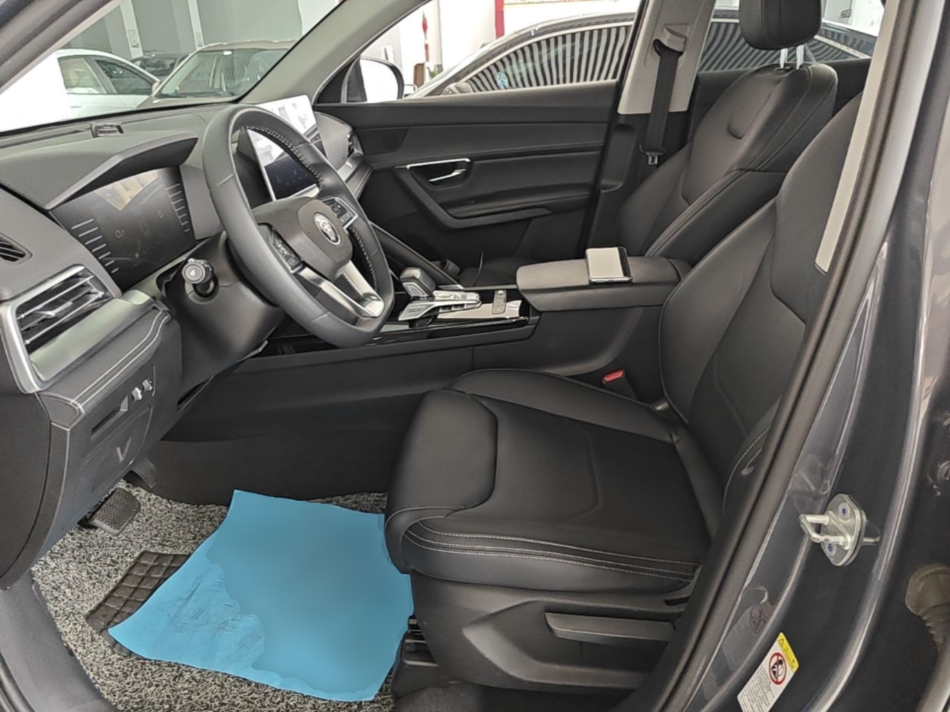 Interior delantero