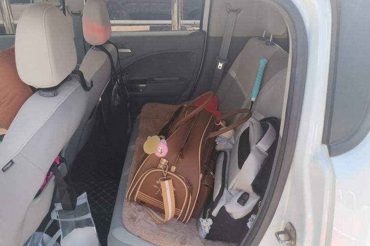 Used ORA White Cat 2020 305 km Luxury Version Left Rear Seat