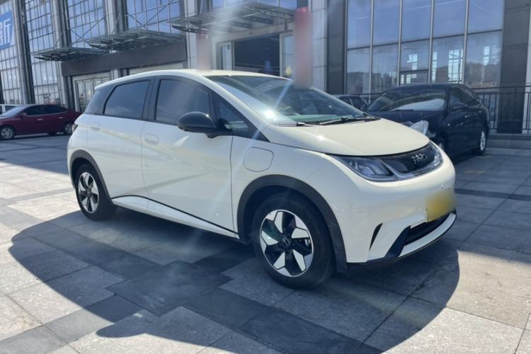 Used BYD Dolphin 2025 420km Free Edition
