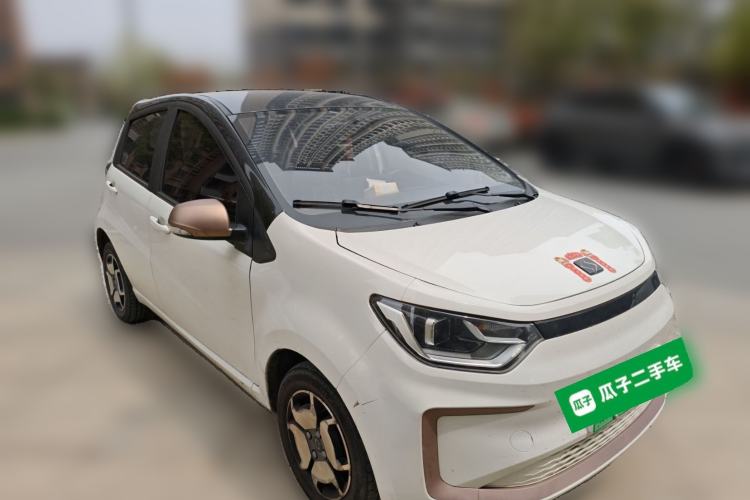 Used SOL E10X 2022 Flower Fairy Design Four-Leaf Clover