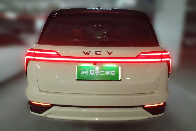 Used Wey Lanshan 2023 Four-Wheel Drive Ultra-Long Range Version
