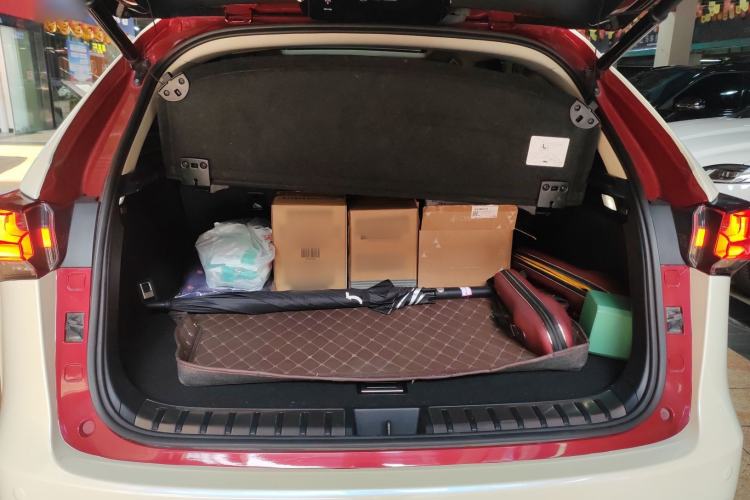 Used Lexus NX 2020 200 All-Wheel Drive Fēngshàng Version China VI Standard