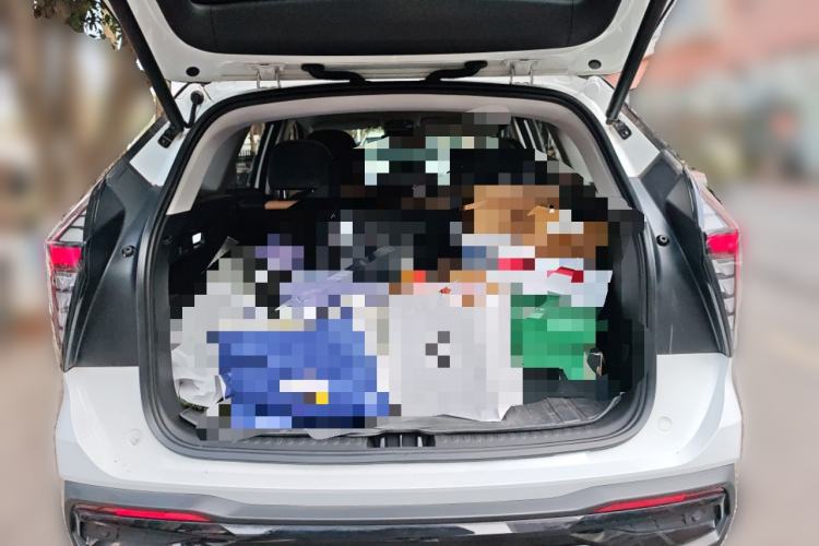 Used Geely Auto FX11 2023 2.0TD DCT Prestige Edition