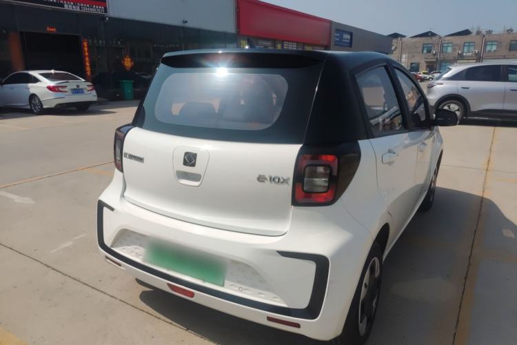 Used SOL E10X 2022 Flower Fairy Design Four-Leaf Clover