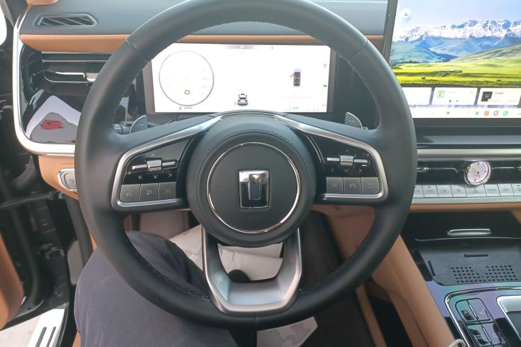 Used Tank 500 New Energy 2024 Hi4-T
