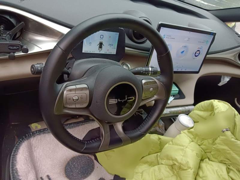 Used BYD Dolphin 2023 420 km Free Version — 11