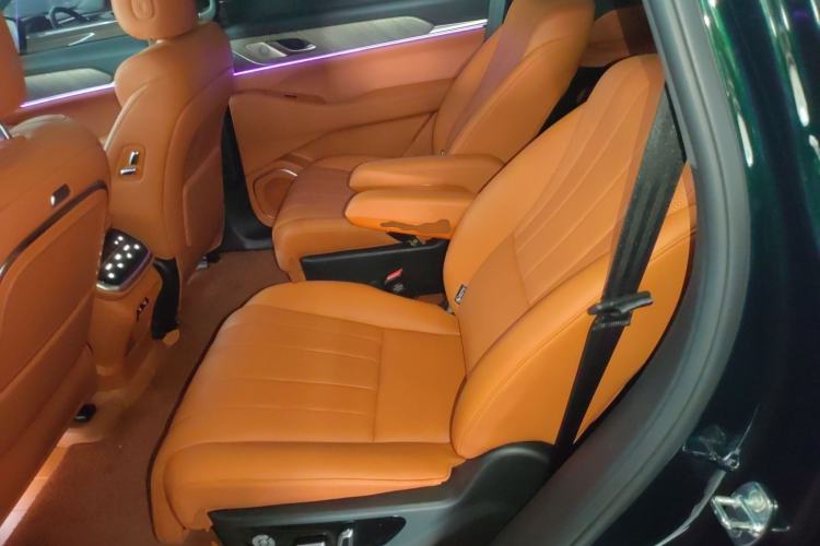 Used Wey Lanshan 2023 Four-Wheel Drive Ultra-Long Range Version Left Rear Seat