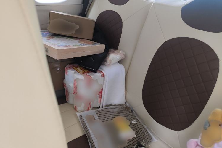 Used Bestune Pony 2025 222km Range Agile Horse