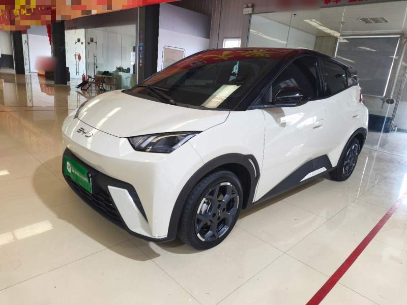 Used BYD Seagull 2025 305 km Free Version — 1