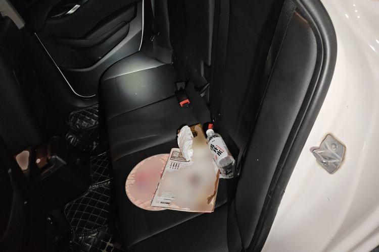 Used BMW X1 2015 sDrive18i Leading Edition Left Rear Seat