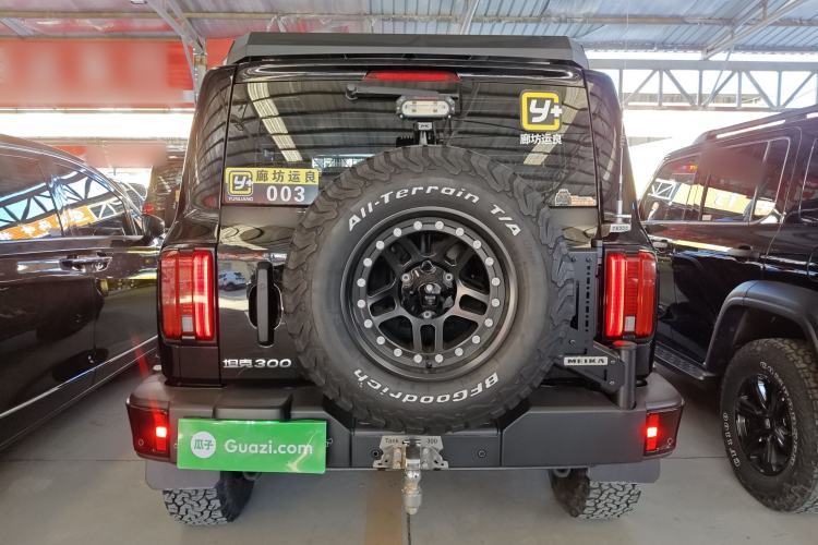 Used Tank 300 2024 2.0T Conqueror
