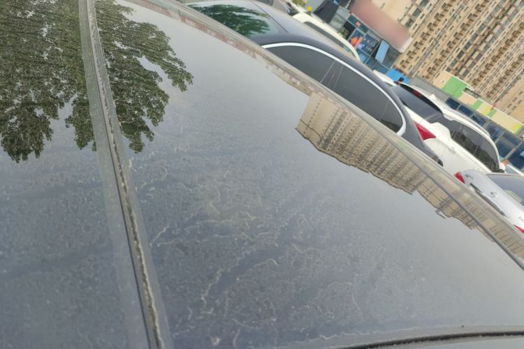 Used Nissan Teana 2022 2.0L XL-TLS Enjoyment Edition Roof