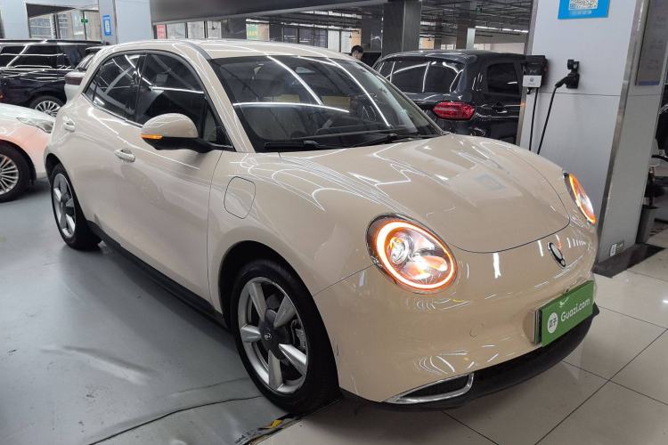 Used ORA Good Cat 2023 401 km Standard Range Premium Version Lithium Iron Phosphate Exterior 2