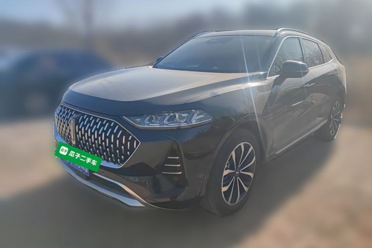 Used Wey Mocha 2021 2.0T Four-Wheel Drive Premium Edition