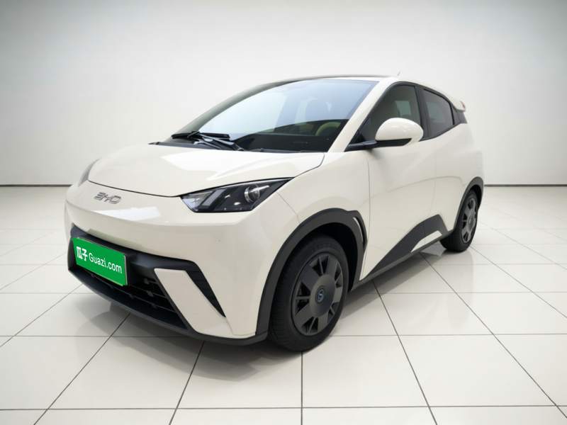 Used BYD Seagull 2025 305km Active Version — 1