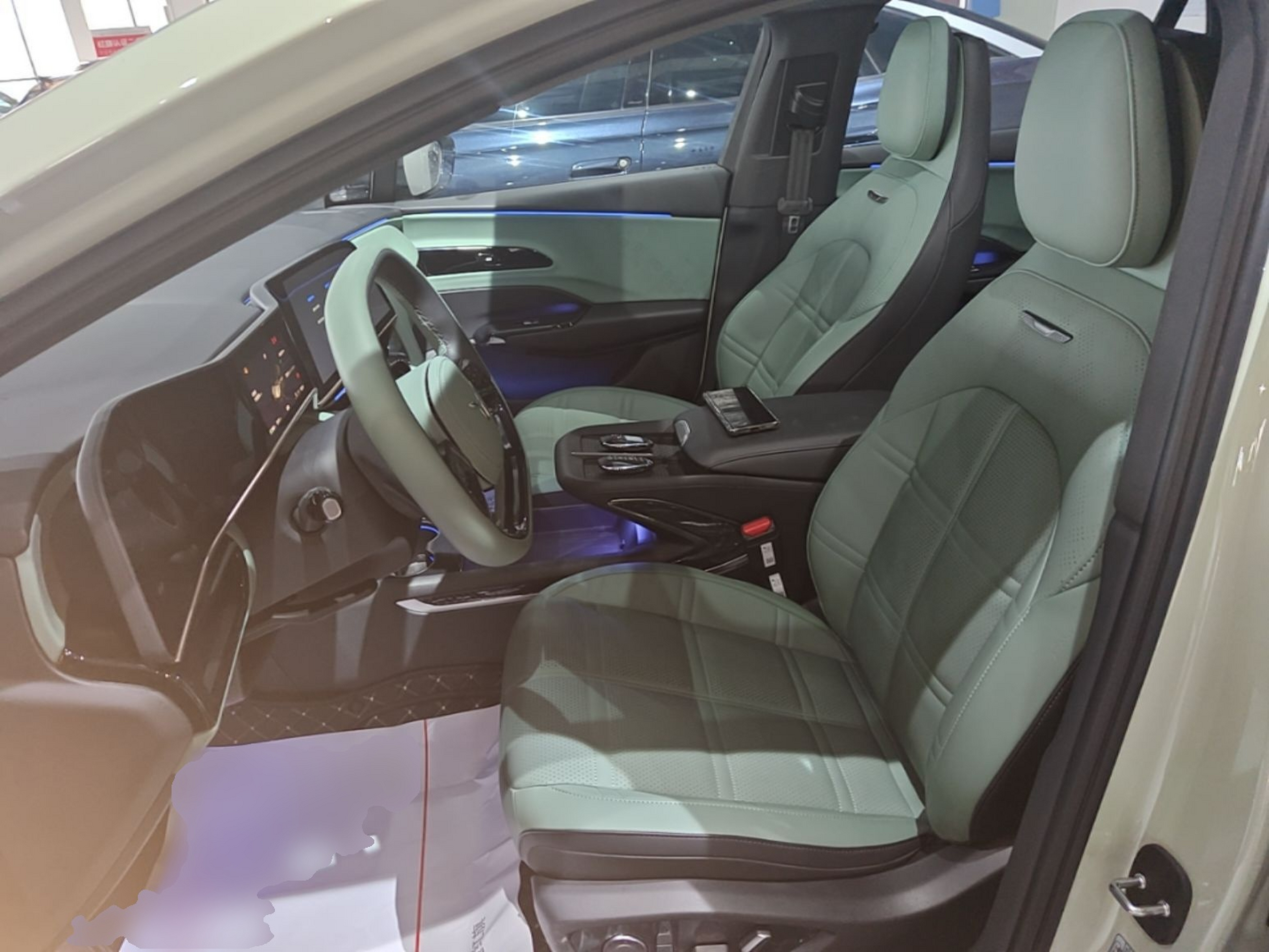 Interior delantero