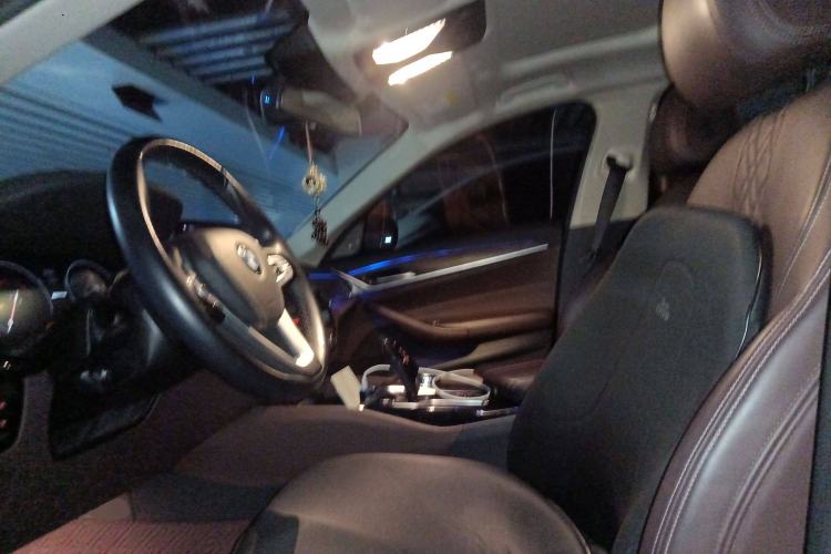 Used BMW 5 Series New Energy 2019 530Le Luxury Package