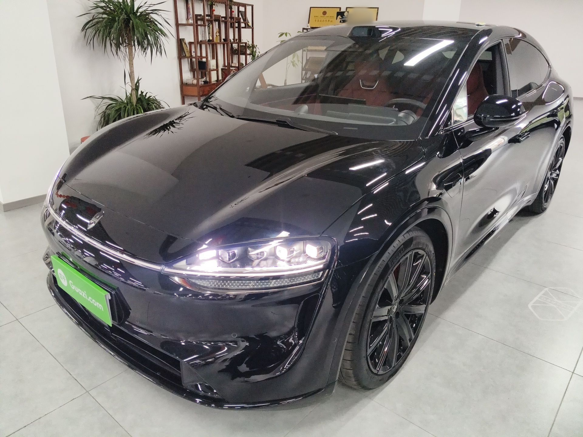 Parte inferior delantera