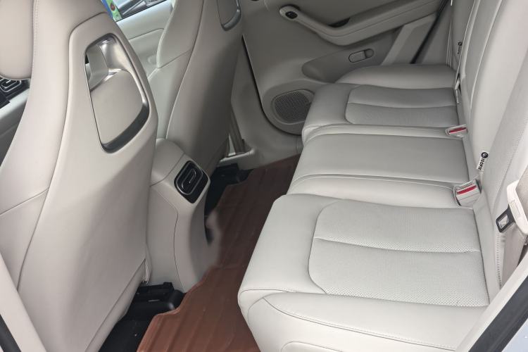 Used Leapmotor C11 2023 Pure Electric 500 Comfort Edition