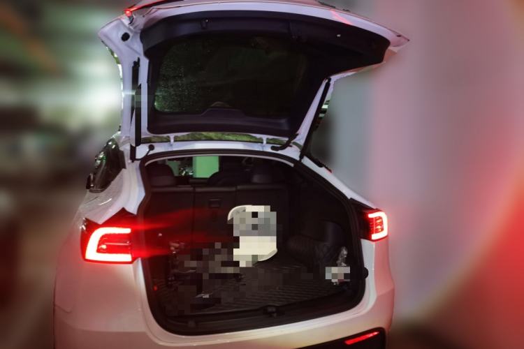 Used Tesla Model Y 2021 Revised Version 2 Long-Range All-Wheel-Drive Edition
