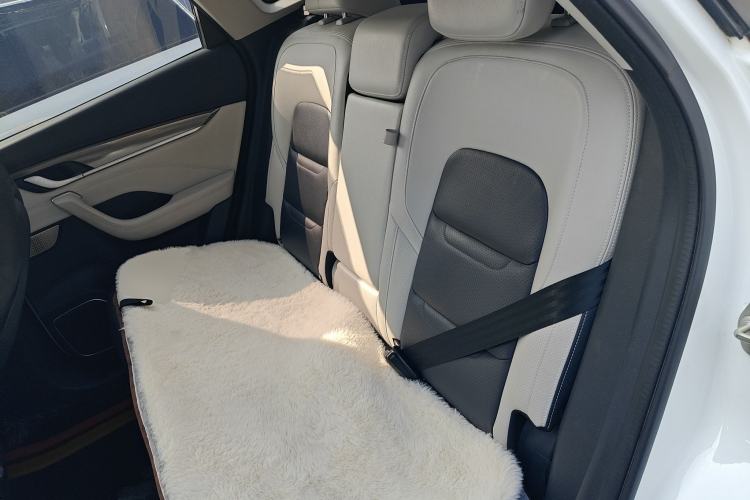 Used WM Motor EX5 2020 EX5-Z Nex Exploration Edition