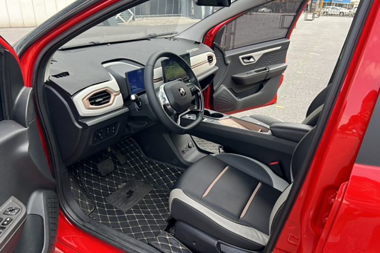 Used SOL E10X 2022 Flower Fairy Style Baby's Breath