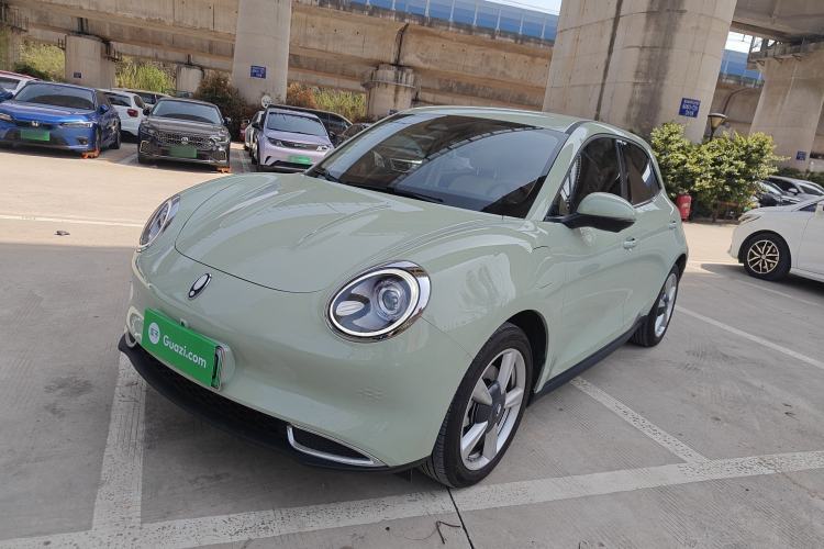 Used ORA Good Cat 2023 401 km Standard Range Luxury Version Ternary Lithium